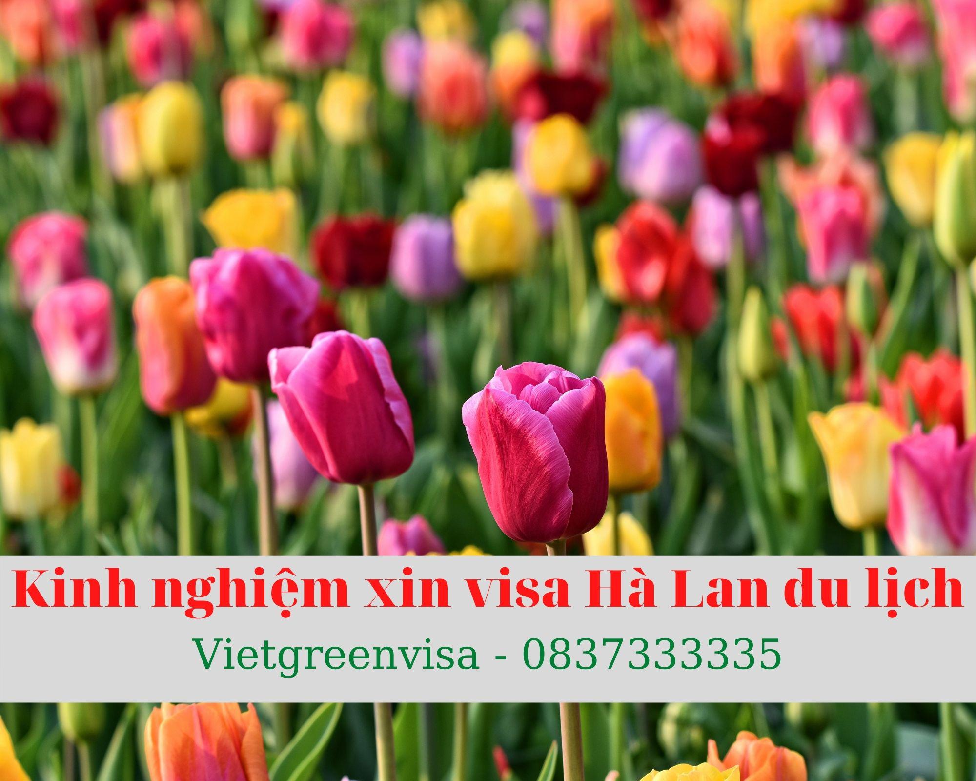 Hướng dẫn làm visa Hà Lan diện du lịch nhanh và dễ dàng