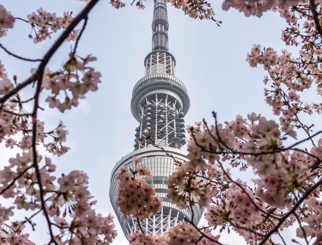 Tháp truyền hình Tokyo Sky Tree - Nhật Bản