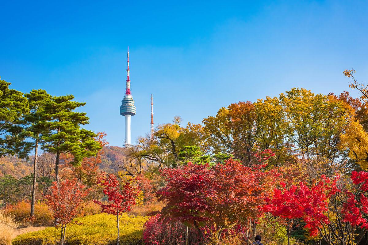 Khám phá tháp Namsan - biểu tượng của thủ đô Seoul
