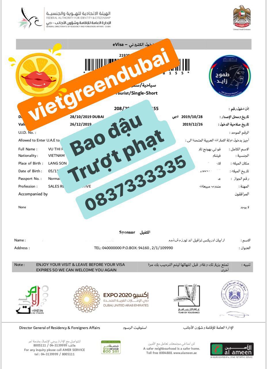 Kinh nghiệm làm Visa Dubai tự túc nhanh nhất | Viet Green Visa