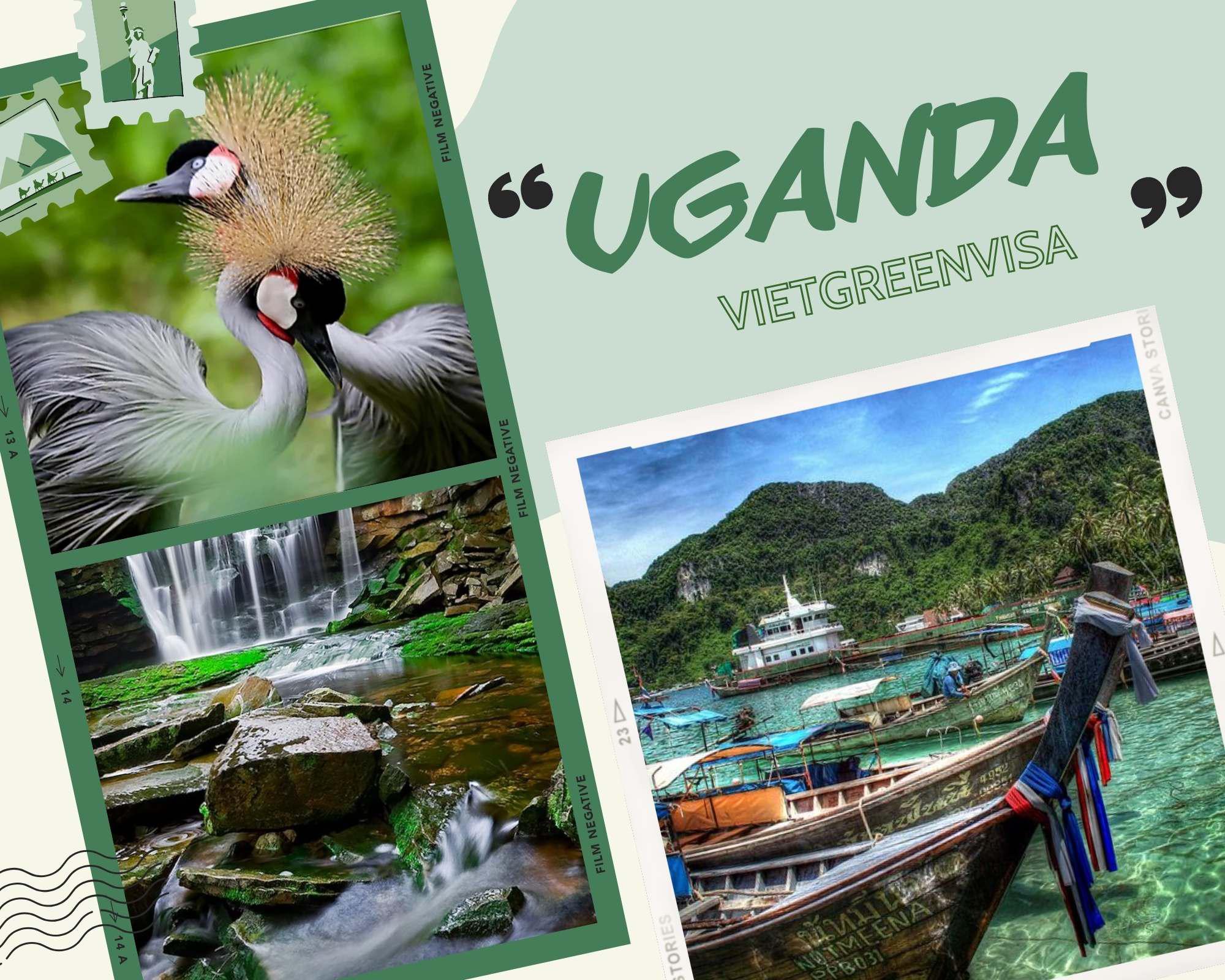 Thủ tục xin visa Uganda nhanh chóng
