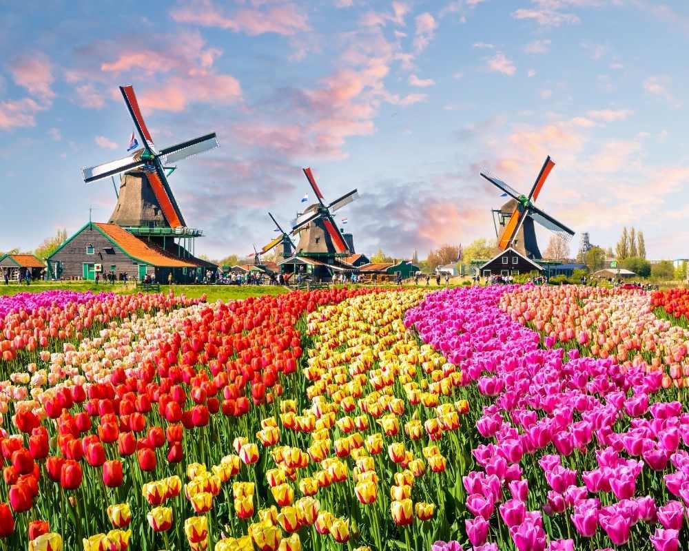 Xin visa đi học Tiếng Hà Lan và dự khoá học ngắn hạn