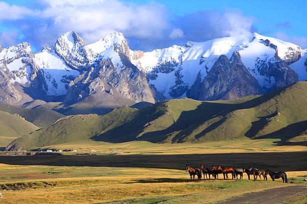 Xin Visa Kyrgyzstan du lịch uy tín, trọn gói