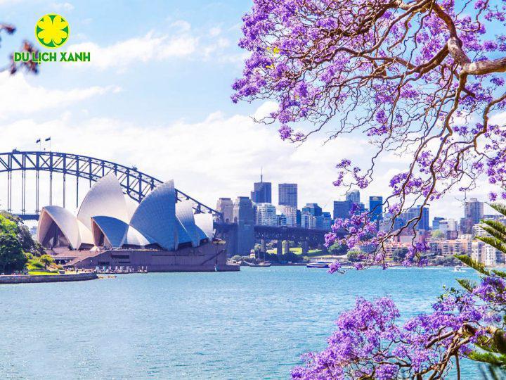 Tour Du Lịch Úc Mùa Hoa Phượng Tím 7 Ngày 6 Đêm: Sydney – Canberra – Melbourne – Bachuss Marsh – Ballarat – Dandenong