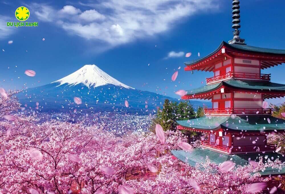 Tour Du Lịch Nhật Bản Mùa Hoa Anh Đào 2024 Tokyo – Phú Sĩ – Nagoya – Kyoto – Osaka, Tour Hoa Anh Đào Nhật Bản, Du Lịch Xanh
