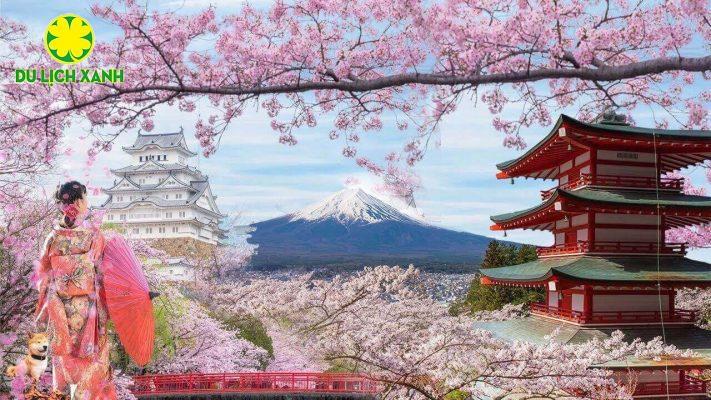 Tour Du Lịch Nhật Bản Mùa Hoa Anh Đào 2024 Narita – Tokyo – Yamanashi – Kyoto – Osaka