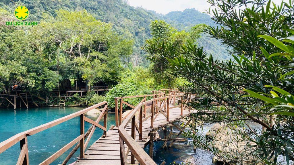 Tour Động Phong Nha – Suối Nước Moọc 2024