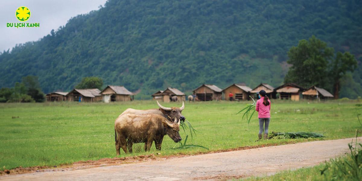 Tour du lịch Quảng Bình 2 ngày 1 đêm, Tour Quảng Bình 2 ngày 1 đêm, Tour ghép Quảng Bình 2 ngày 1 đêm, Tour du lịch Quảng Bình, Du Lịch Xanh