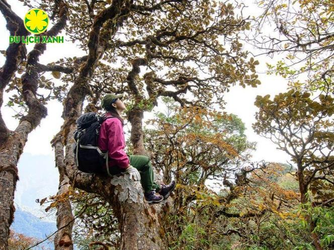 Tour leo núi Tả Liên Sơn 2 ngày 1 đêm từ Sa Pa