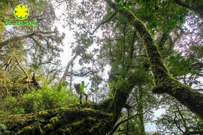 Tour trekking leo núi Tả Liên Sơn 2 ngày 1 đêm từ Hà Nội