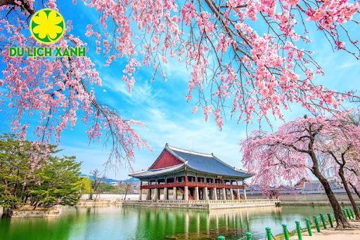 Ha Noi– Seoul – Nami – Seoul Land 5 ngày 4 đêm