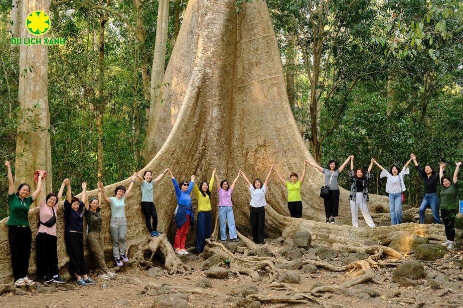 Tour Khám Phá Rừng Nam Cát Tiên 2 Ngày