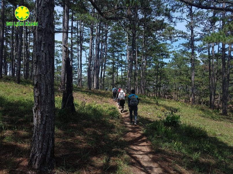 Tour trekking leo núi VQG Bidoup – Núi Bà 2 ngày 1 đêm