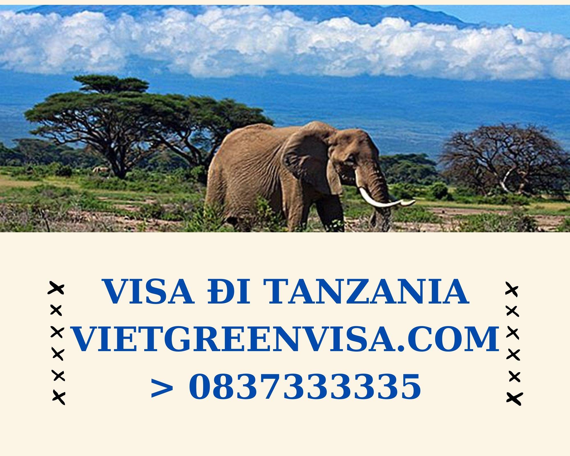 Làm Visa Tanzania thăm thân uy tín, nhanh chóng , giá rẻ