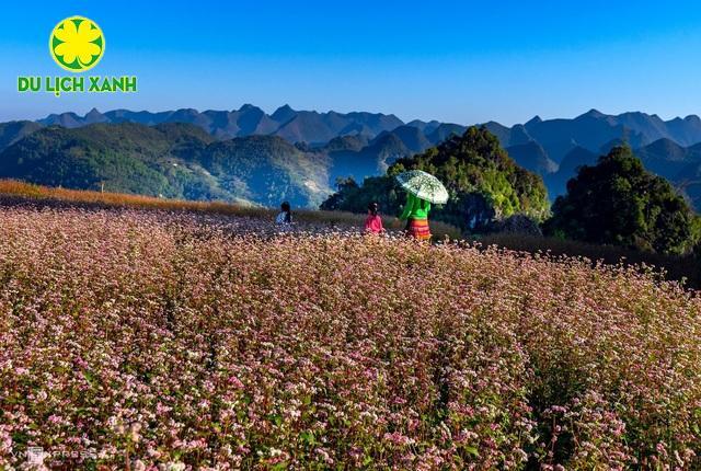 Tour Du lịch Tết Hà Giang - Cao Bằng 4 ngày