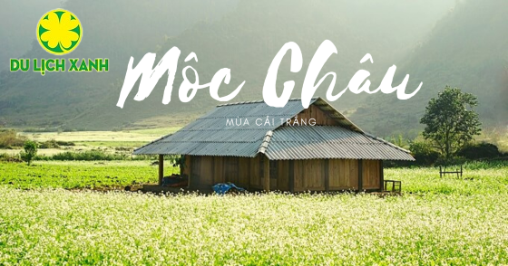 TOUR TẾT  HÀ NỘI - MAI CHÂU - MỘC CHÂU 