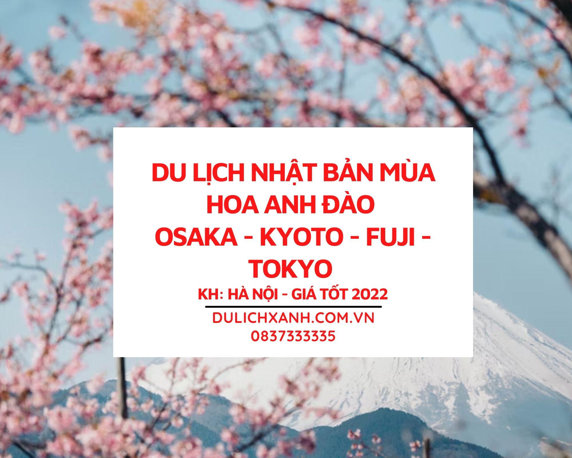 Du lịch Nhật Bản mùa hoa Anh Đào Osaka - Kyoto - Fuji - Tokyo KH: Hà Nội giá tốt 2022