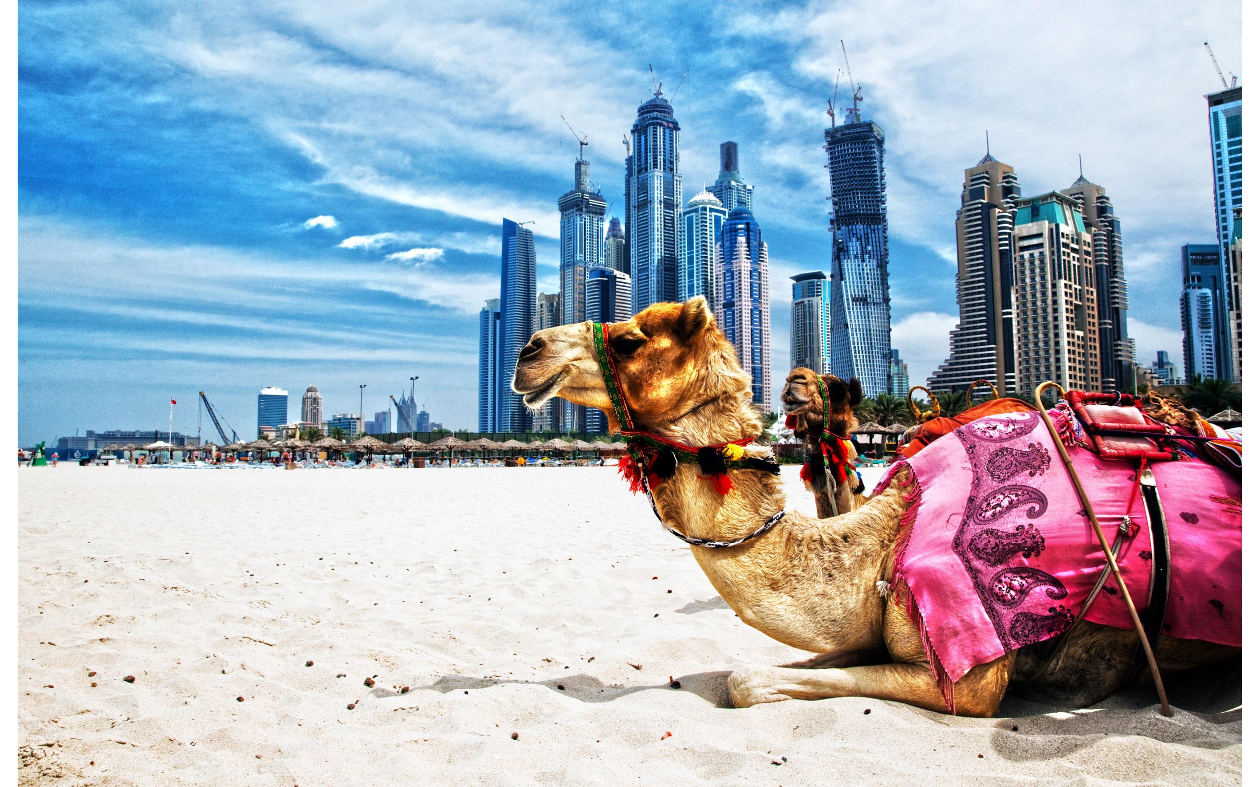 Tour Dubai - Abu Dhabi 5 ngày - Khởi hành từ Hồ Chí Minh