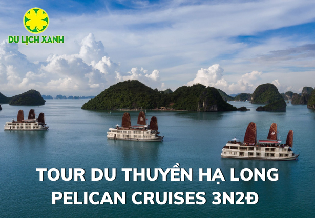 Tour Du thuyền Hạ Long Pelican Cruises 3 ngày 2 đêm | Du Lịch Xanh