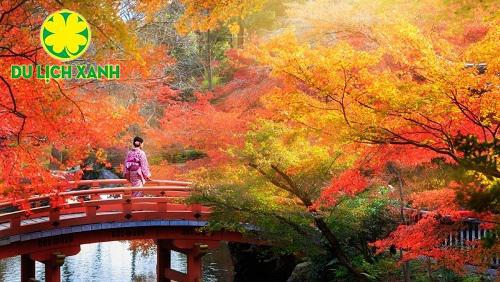 TOUR DU LICH NHẬT BẢN MÙA LÁ ĐỎ 6 NGÀY