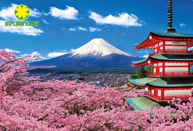 Tour Nhật Bản mùa lá đỏ 7 ngày 6 đêm xuất phát từ Hà Nội