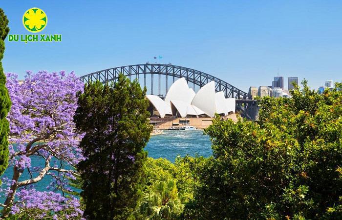 Tour Du Lịch Úc Mùa Xuân Phượng Tím 7 Ngày 6 Đêm, Du lịch Úc mùa xuân 7 ngày 6 đêm, Du Lịch Xanh, du lịch mùa hoa phượng tím Úc 2023