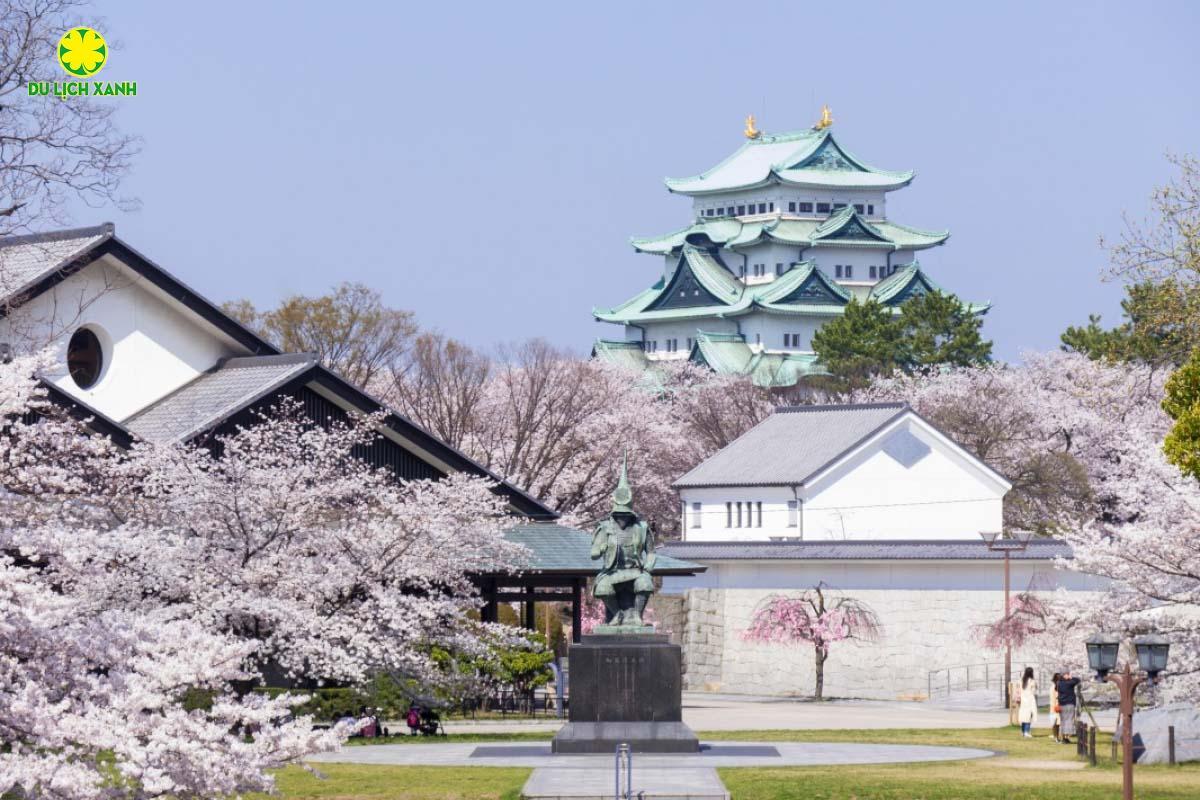 Tour Du Lịch Nhật Bản Mùa Hoa Anh Đào 2024 Nagoya – Shirakawa go – Takayama – Fuji – Tokyo 