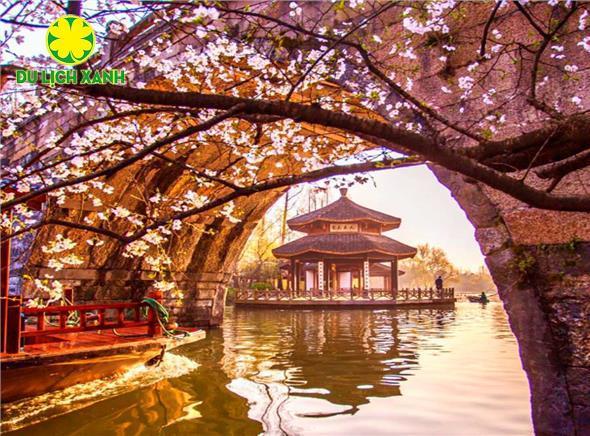 Tour Du Lịch Trung Quốc - Hà Nội Mùa Hoa Anh Đào Thượng Hải - Hàng Châu - Vô Tích - Tô Châu - Bắc Kinh