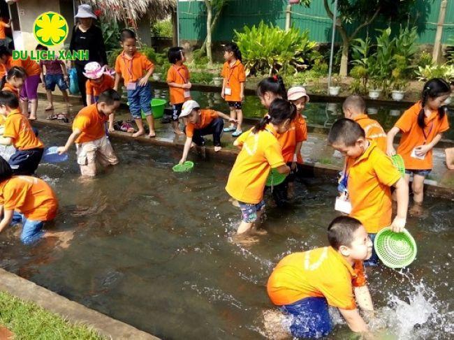 Tour học sinh Trang trại đồng quê Ba Vì 1 ngày