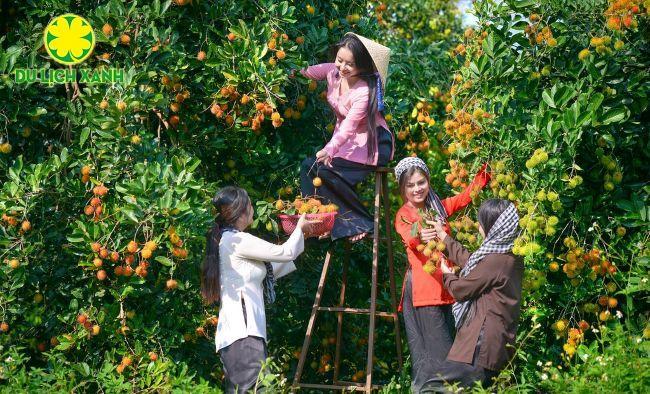 Tour Cần Thơ - Sóc Trăng - Bạc Liêu - Cà Mau 3 ngày 2 đêm