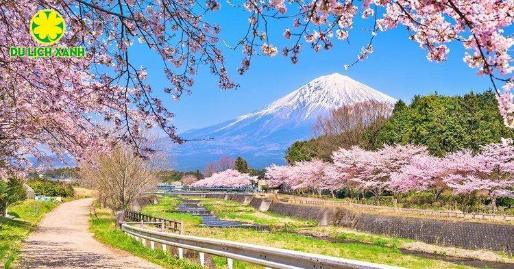 Tour Du Lịch Nhật Bản Mùa Hoa Anh Đào 2025 Osaka – Kyoto – Nagoya – Phú Sĩ - Tokyo