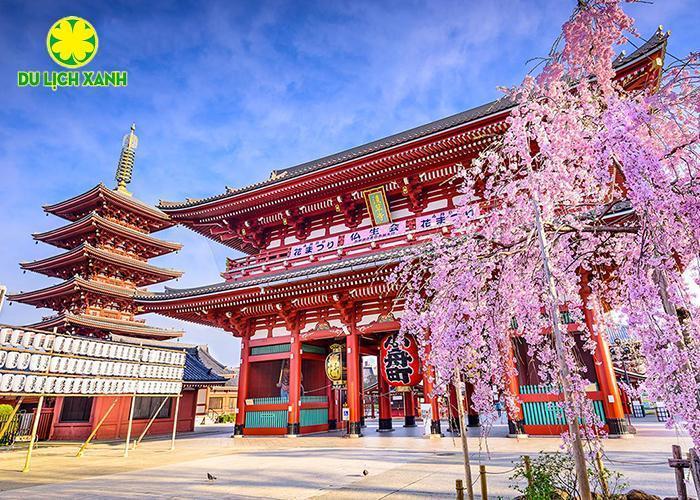 Tour Du Lịch Nhật Bản Mùa Hoa Anh Đào 2025 Tokyo – Phú Sĩ – Nagoya – Kyoto – Osaka