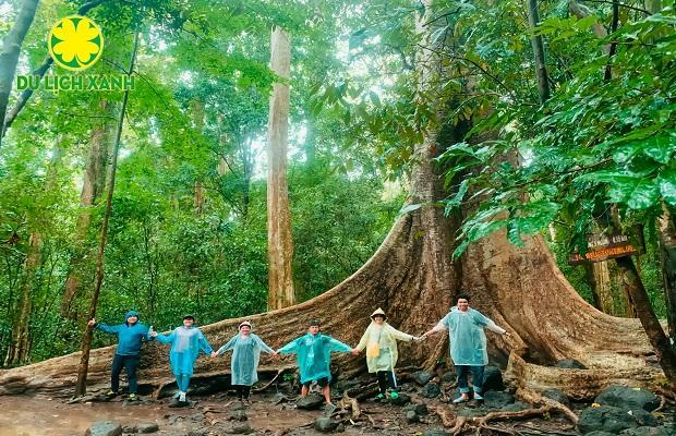 Tour Khám Phá Rừng Nam Cát Tiên 2 Ngày