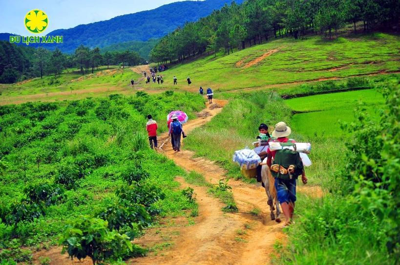 Tour trekking leo núi Tà Năng – Phan Dũng 3 ngày